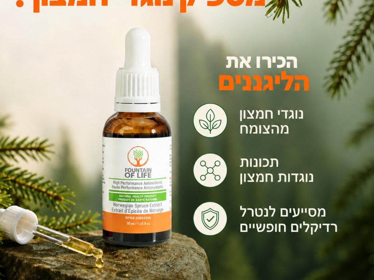 מעיין החיים